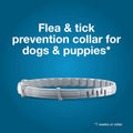 Seresto Small Dog Vet-Recommended Flea & Tick Treatment & Prevention Collar for Dogs Under 18 lbs. | 2 Pack