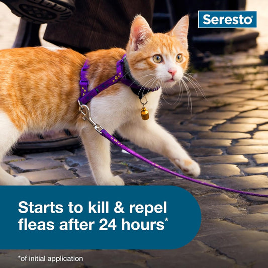 Seresto Cat Flea & Tick Collar — 8 Months Protection