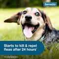 Seresto Small Dog Vet-Recommended Flea & Tick Treatment & Prevention Collar for Dogs Under 18 lbs. | 8 Months Protection