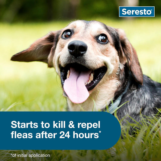 Seresto Small Dog Vet-Recommended Flea & Tick Treatment & Prevention Collar for Dogs Under 18 lbs. | 2 Pack