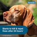 Seresto Flea & Tick Collar For Dogs Over 18 lbs., Treatment & Prevention, Vet-Recommend, 8 Month