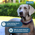 Seresto Large Dog Vet-Recommended Flea & Tick Treatment & Prevention Collar for Dogs Over 18 lbs. | 2-Pack