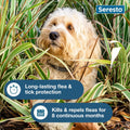 Seresto Small Dog Vet-Recommended Flea & Tick Treatment & Prevention Collar for Dogs Under 18 lbs. | 8 Months Protection
