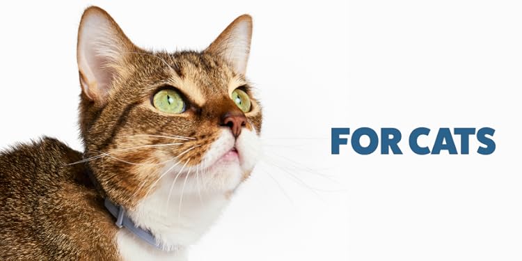 Promotional banner